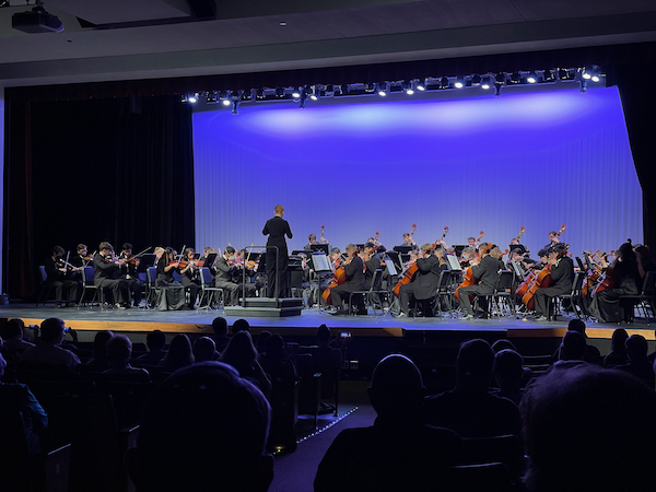 Orchestra concert